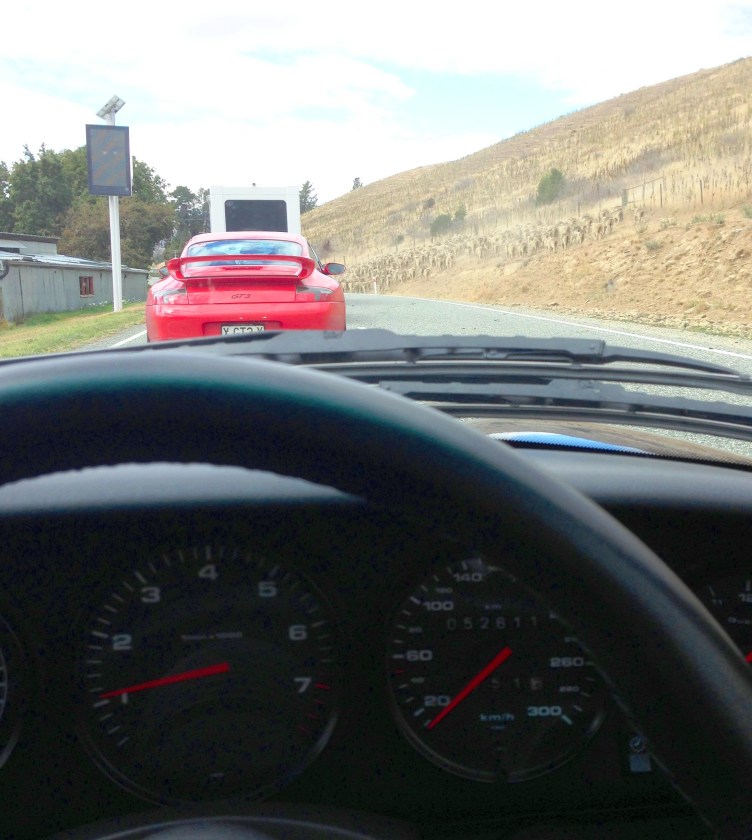 993 RS sheep blockade